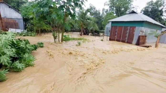 শেরপুরে বাঁধ ভেঙে শতাধিক গ্রাম প্লাবিত