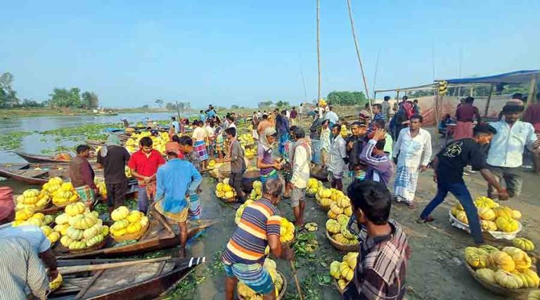 নবাবগঞ্জে বাঙ্গির ঘ্রাণে জেগে উঠেছে কৈলাইল ইউনিয়নের ভাঙাভিটা