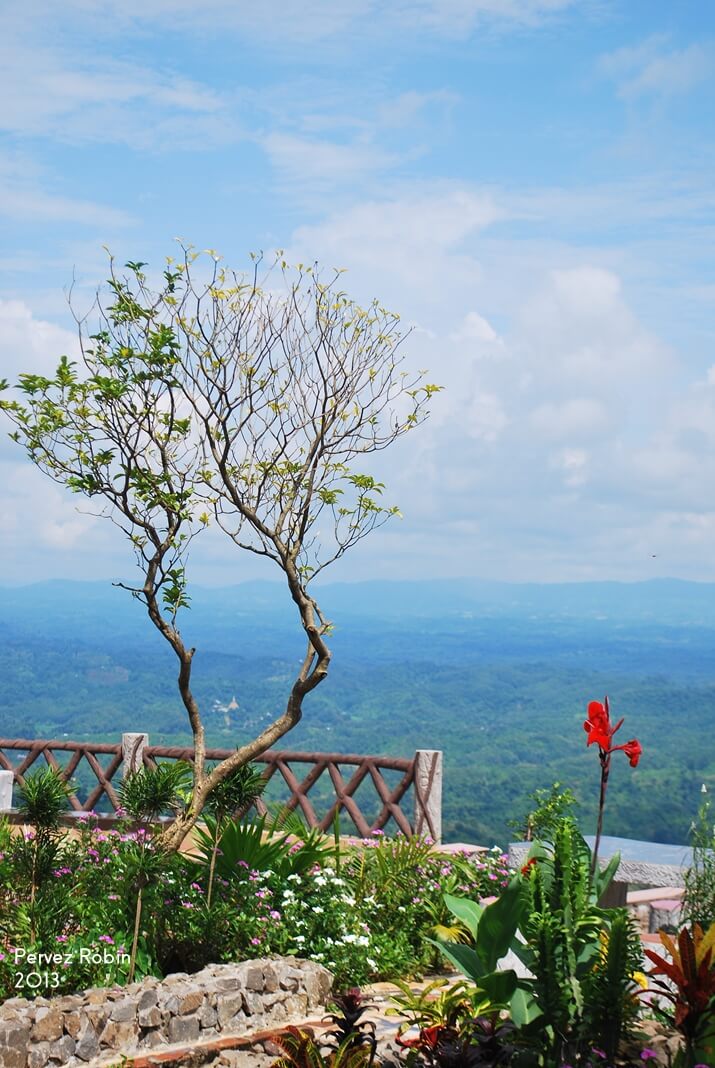 নীল দিগন্ত