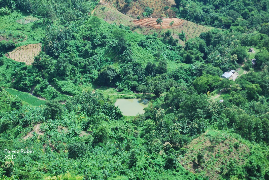 নীলাচলের উপত্যকায়